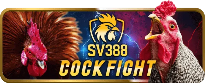 Ưu Đãi Nạp Tiền Hàng Ngày Bubet Win