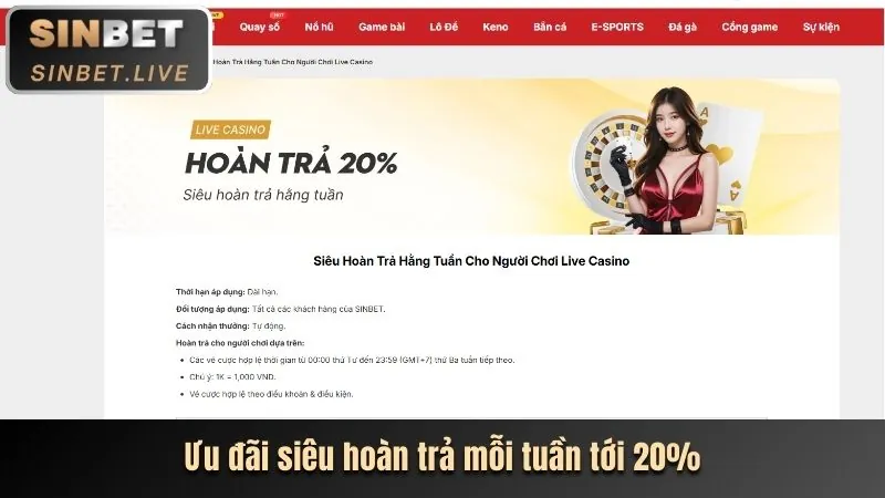 Trải nghiệm casino trực tuyến Bubet Win